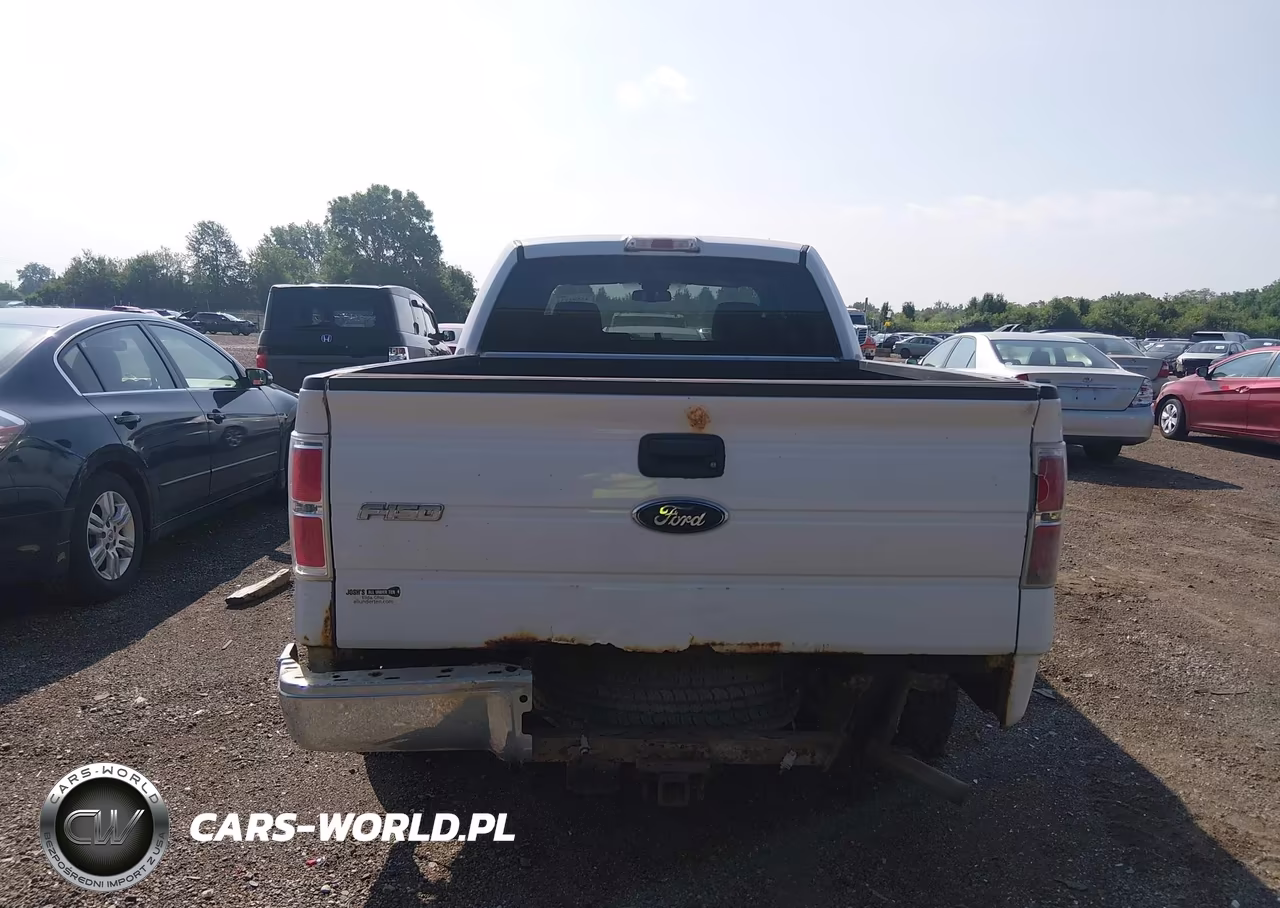 2009 Ford F-150 Fx4-King Ranch-Lariat-Platinum-Xl-Xlt VIN:1FTPW14V89FB07154 - 16