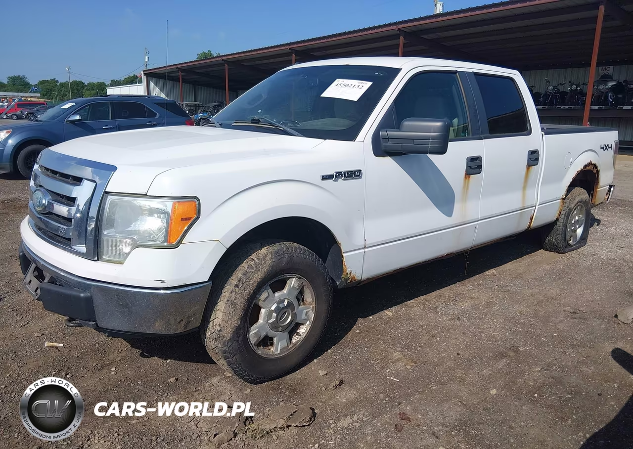 2009 Ford F-150 Fx4-King Ranch-Lariat-Platinum-Xl-Xlt VIN:1FTPW14V89FB07154 - 2