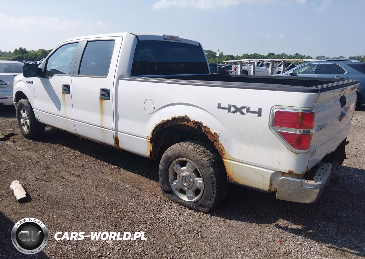 2009 Ford F-150 Fx4-King Ranch-Lariat-Platinum-Xl-Xlt VIN:1FTPW14V89FB07154 - 3