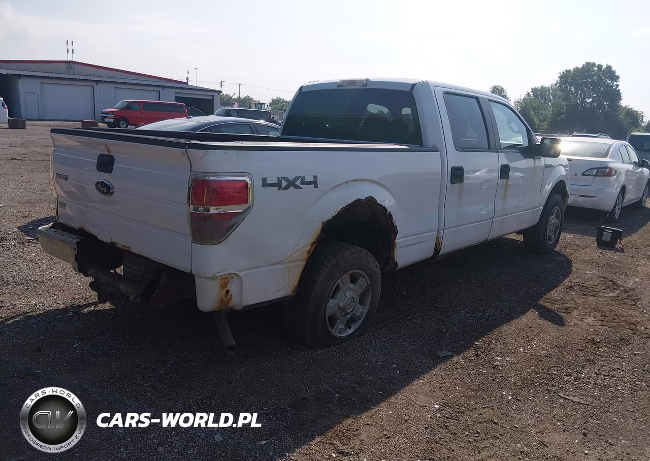 2009 Ford F-150 Fx4-King Ranch-Lariat-Platinum-Xl-Xlt VIN:1FTPW14V89FB07154 - 4