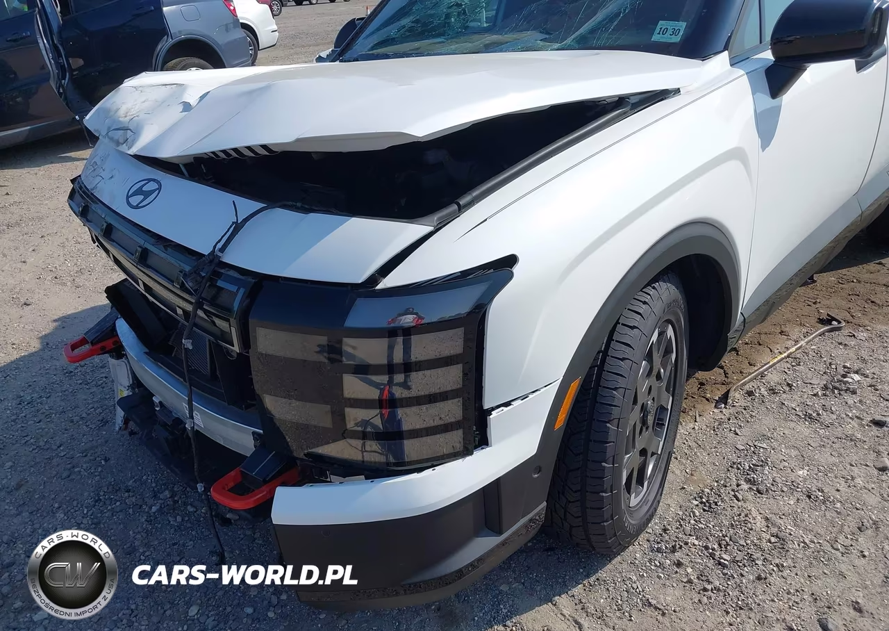 2026 Hyundai Palisade Xrt Pro VIN:KM8RJES25TU039613 - 19