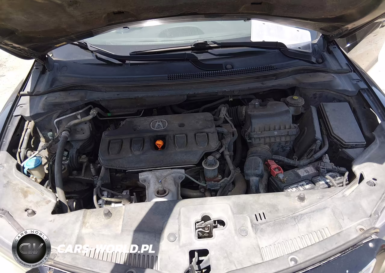 2014 Acura Ilx 2.0L VIN:19VDE1F55EE002233 - 10