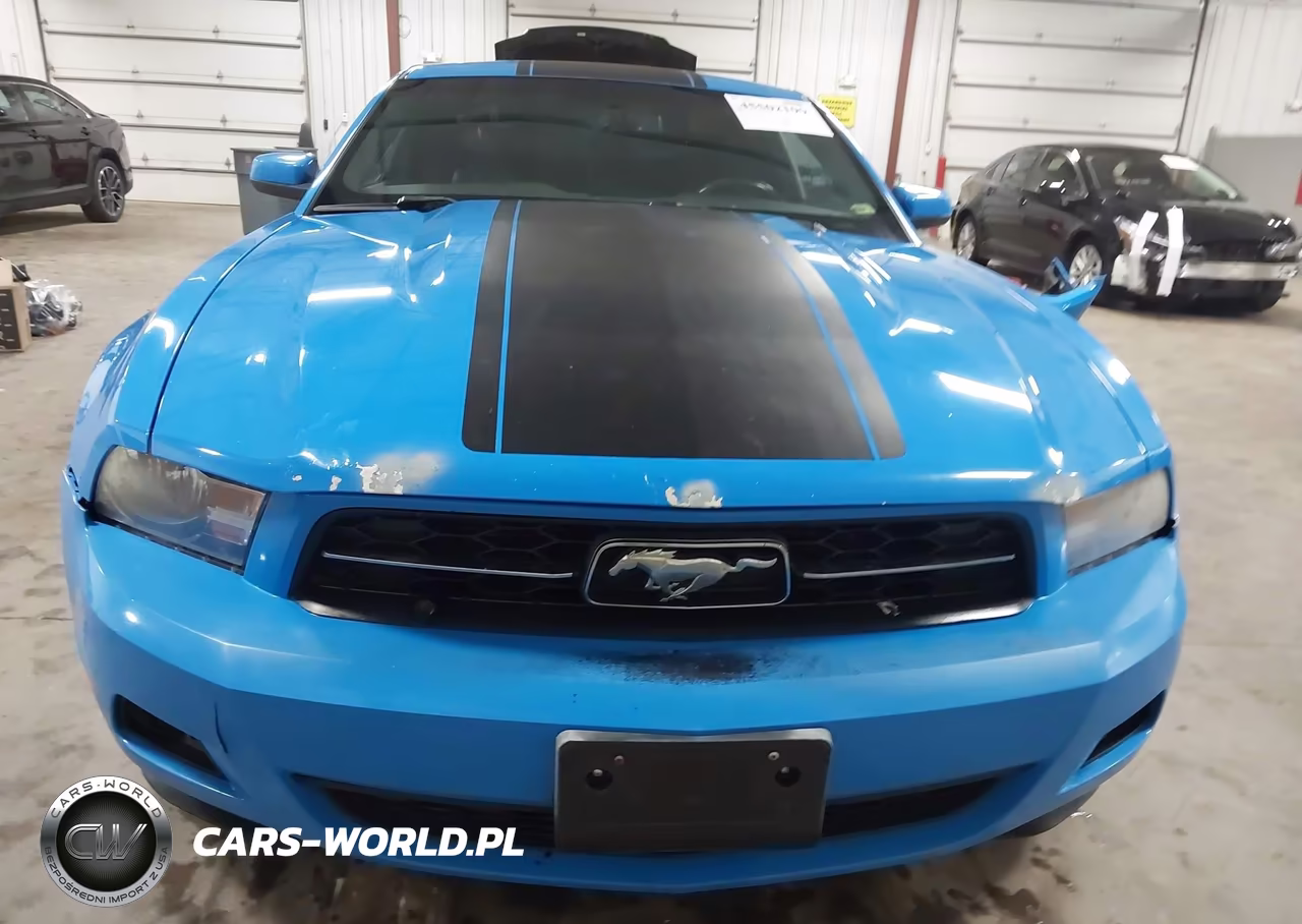 2010 Ford Mustang V6-V6 Premium VIN:1ZVBP8AN4A5153558 - 12