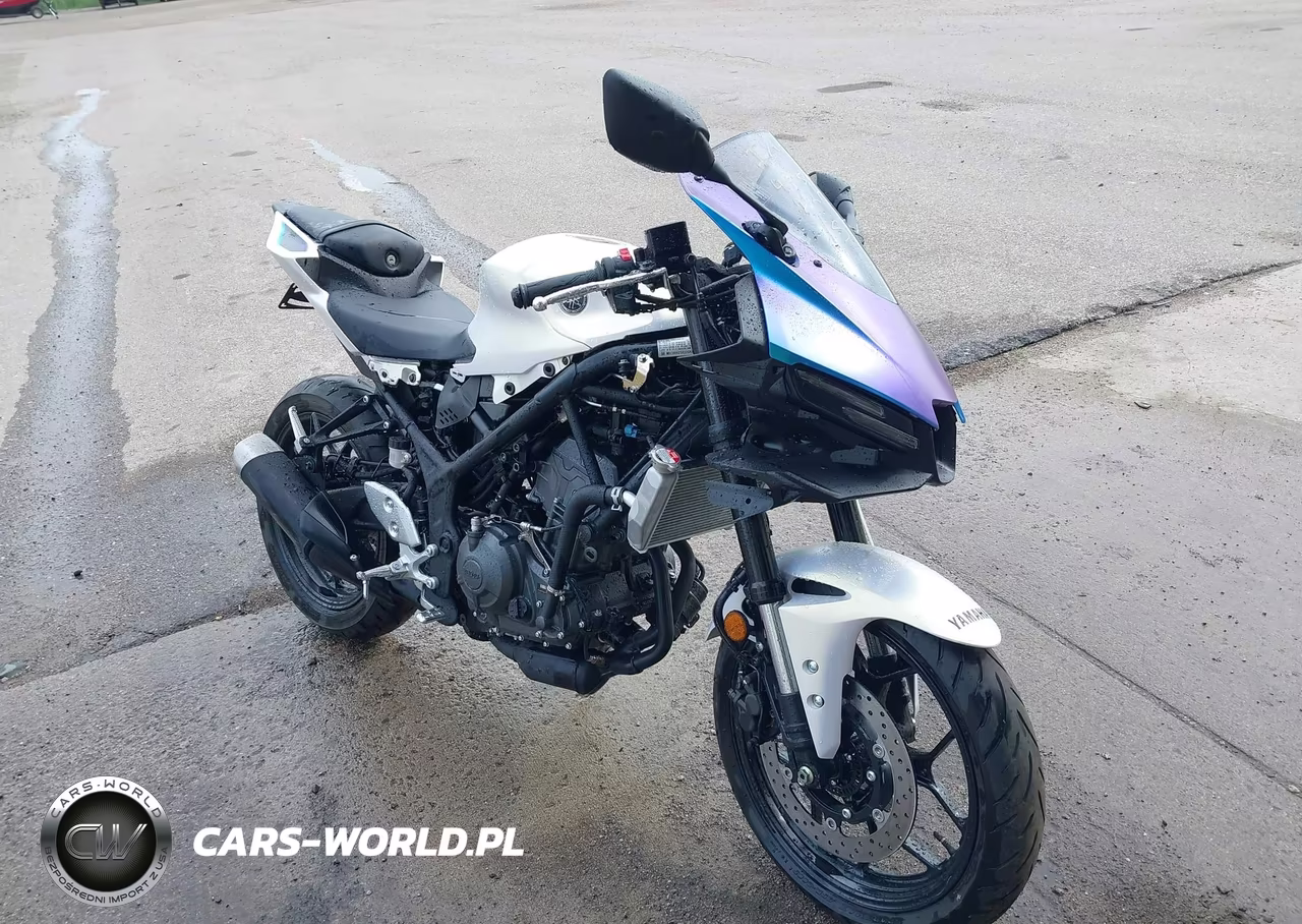 2025 Yamaha Yfz320 A