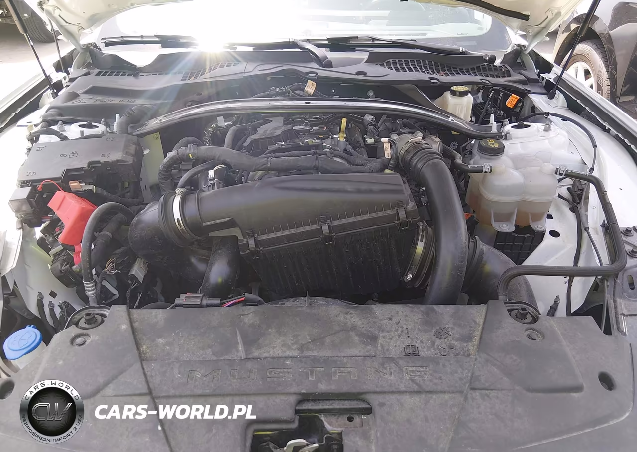 2025 Ford Mustang Ecoboost -Ecoboost Premium VIN:1FAGP8UH8S5123744 - 10
