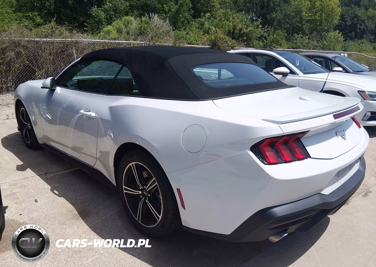 2025 Ford Mustang Ecoboost -Ecoboost Premium VIN:1FAGP8UH8S5123744 - 3