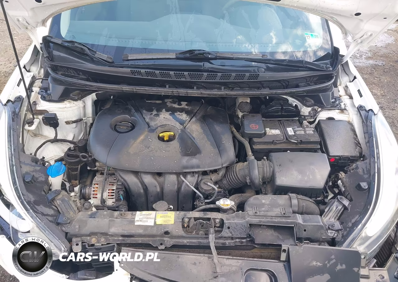 2016 Hyundai Elantra Se VIN:5NPDH4AE5GH667784 - 10