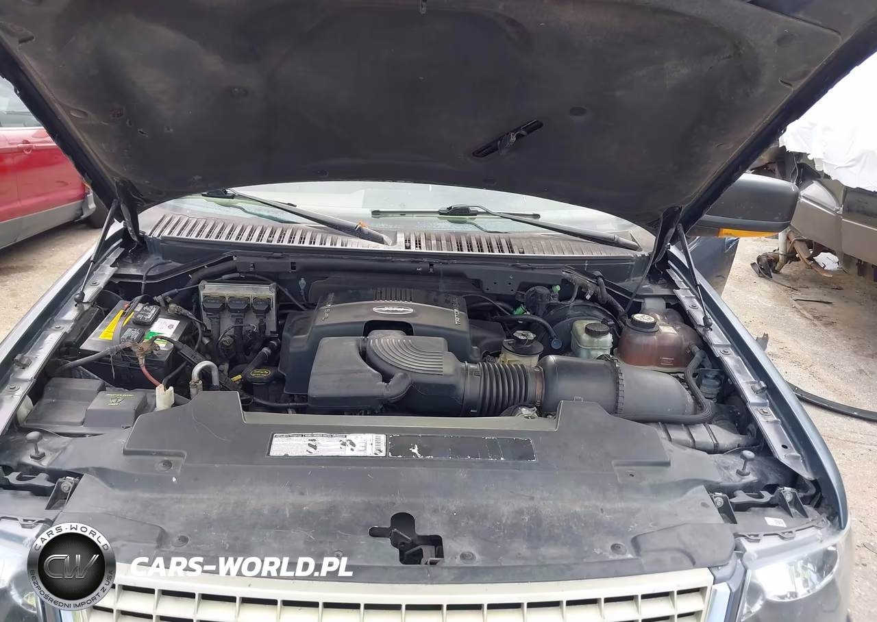 2003 Ford Expedition Eddie Bauer VIN:1FMRU17L63LA00505 - 10