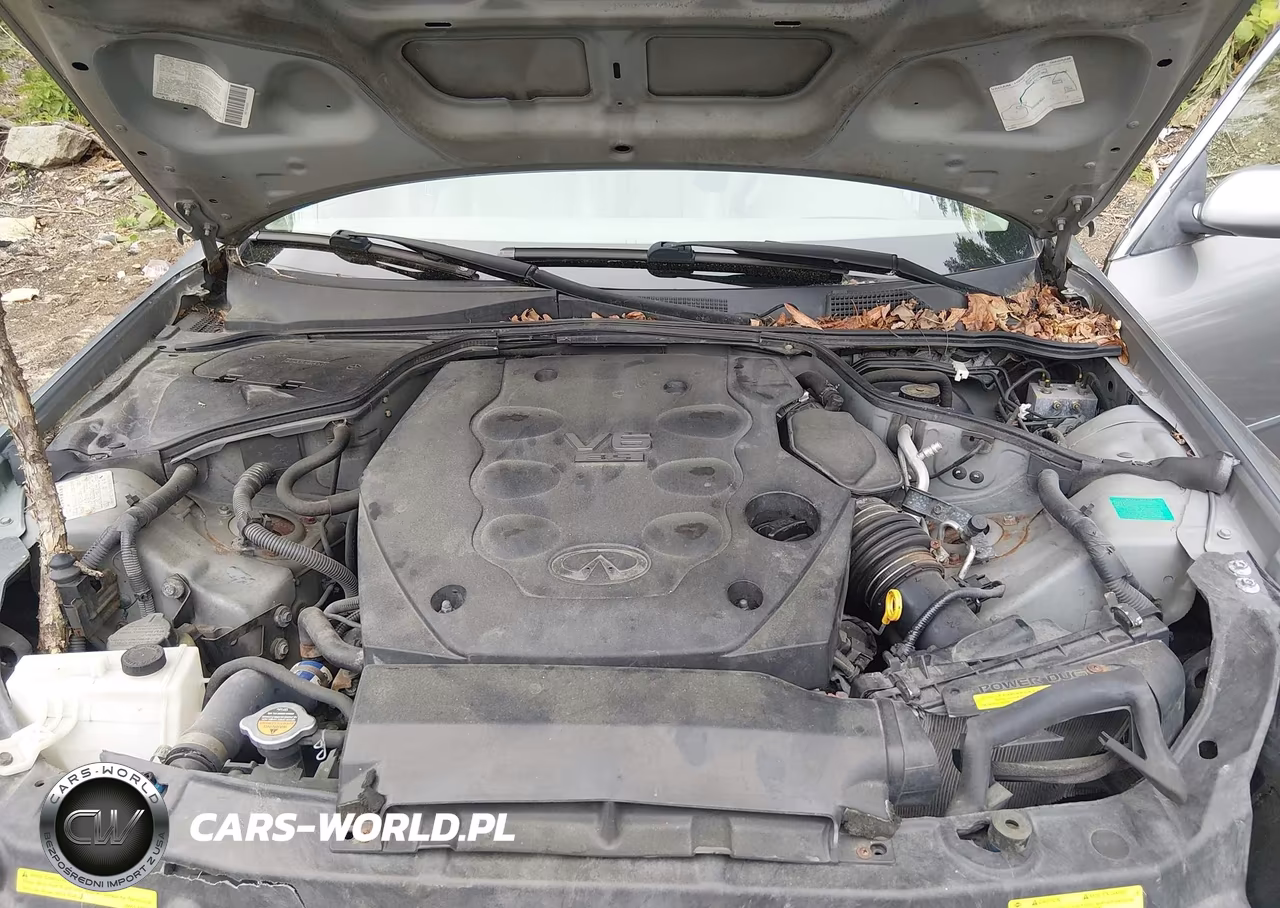 2004 Infiniti G35 VIN:JNKCV51E84M619707 - 10