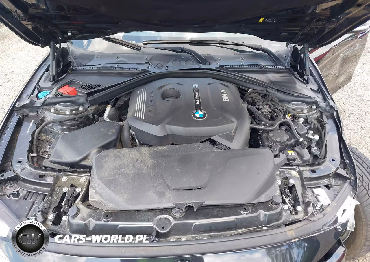 2017 BMW 3 Series 330I VIN:WBA8B9G3XHNU56116 - 10