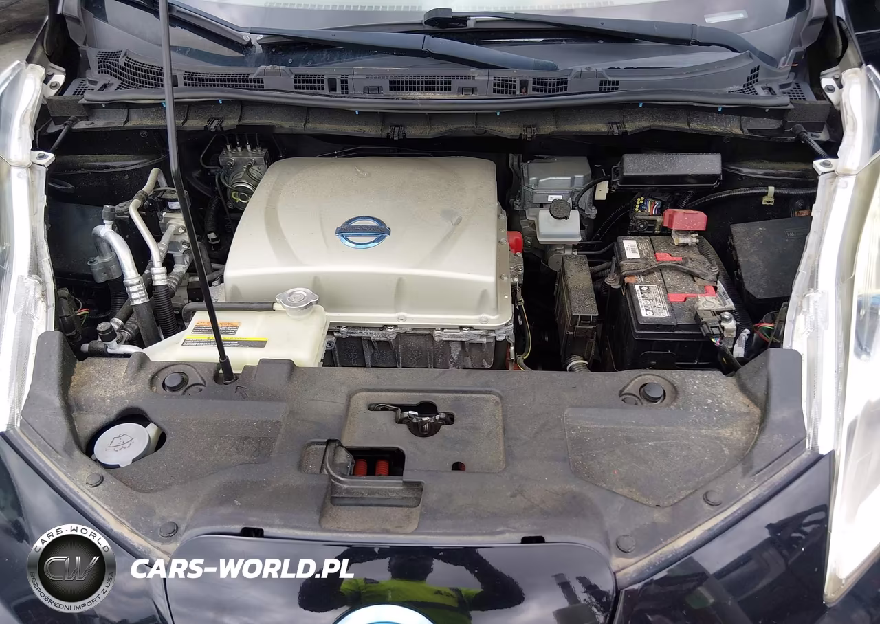 2015 Nissan Leaf Sv VIN:1N4AZ0CP2FC301014 - 10