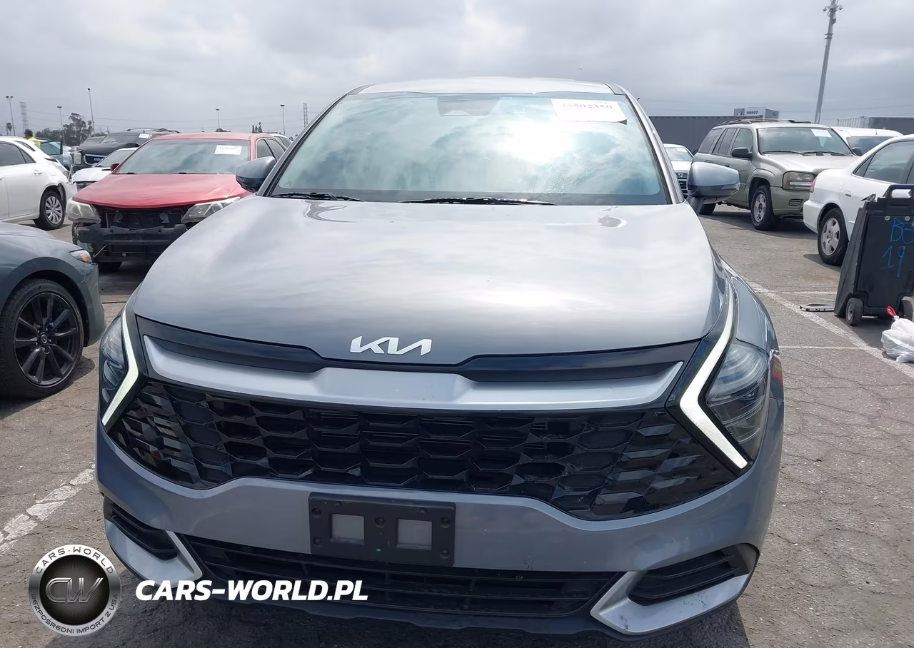 2024 Kia Sportage Ex VIN:5XYK33DF3RG166486 - 12