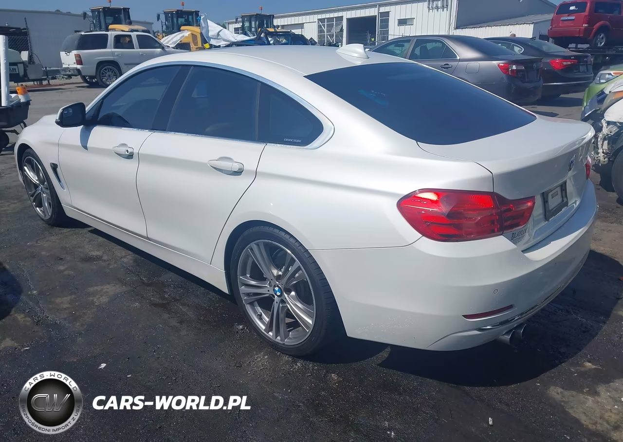 2016 BMW 428I Gran Coupe VIN:WBA4A9C53GG505460 - 3