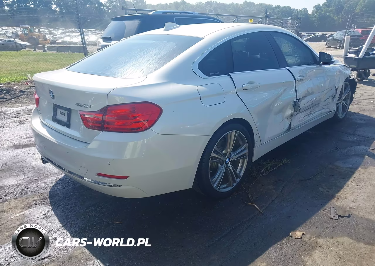 2016 BMW 428I Gran Coupe VIN:WBA4A9C53GG505460 - 4