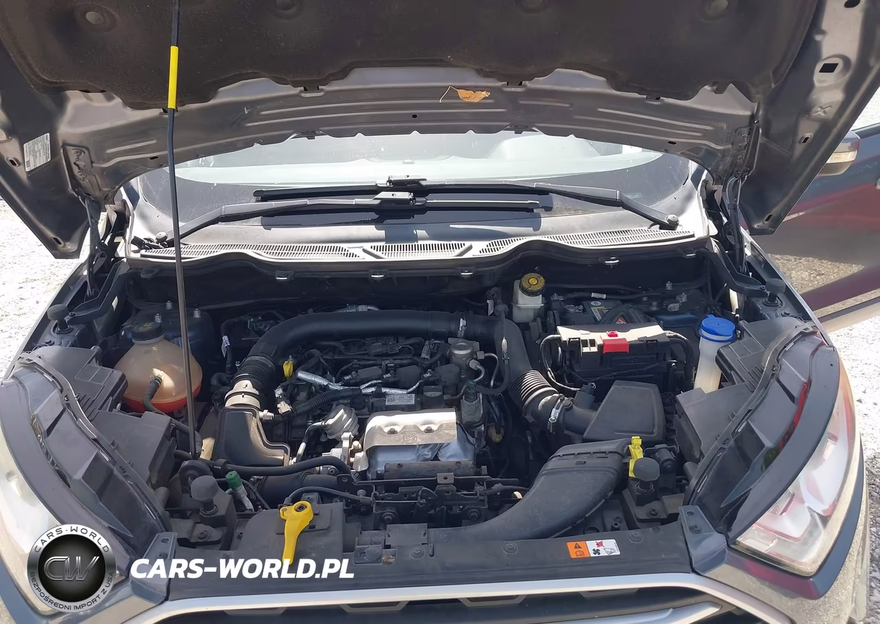 2018 Ford Ecosport Se VIN:MAJ3P1TE6JC233358 - 10