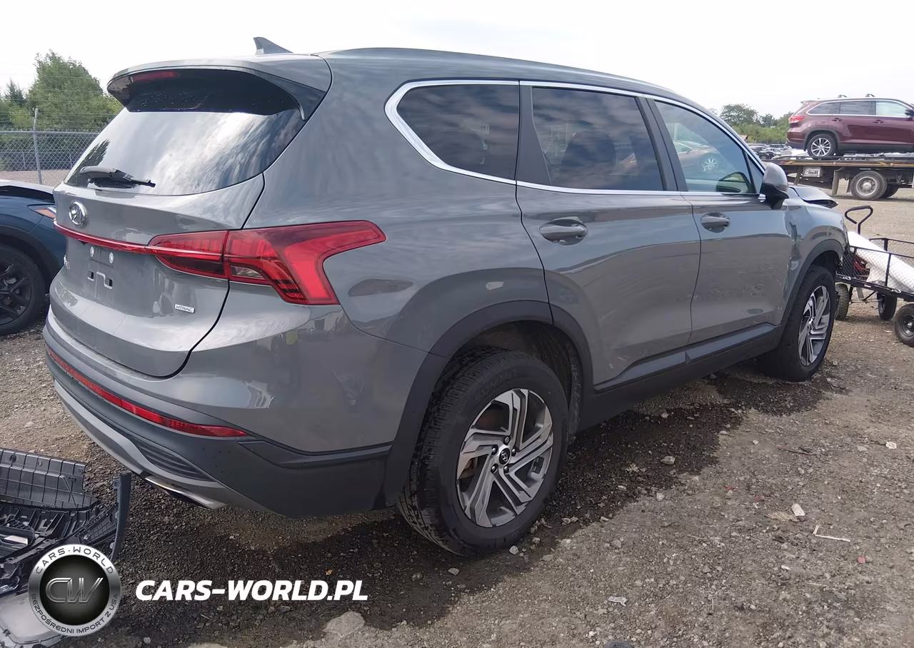 2022 Hyundai Santa Fe Se VIN:5NMS1DAJ8NH414154 - 4
