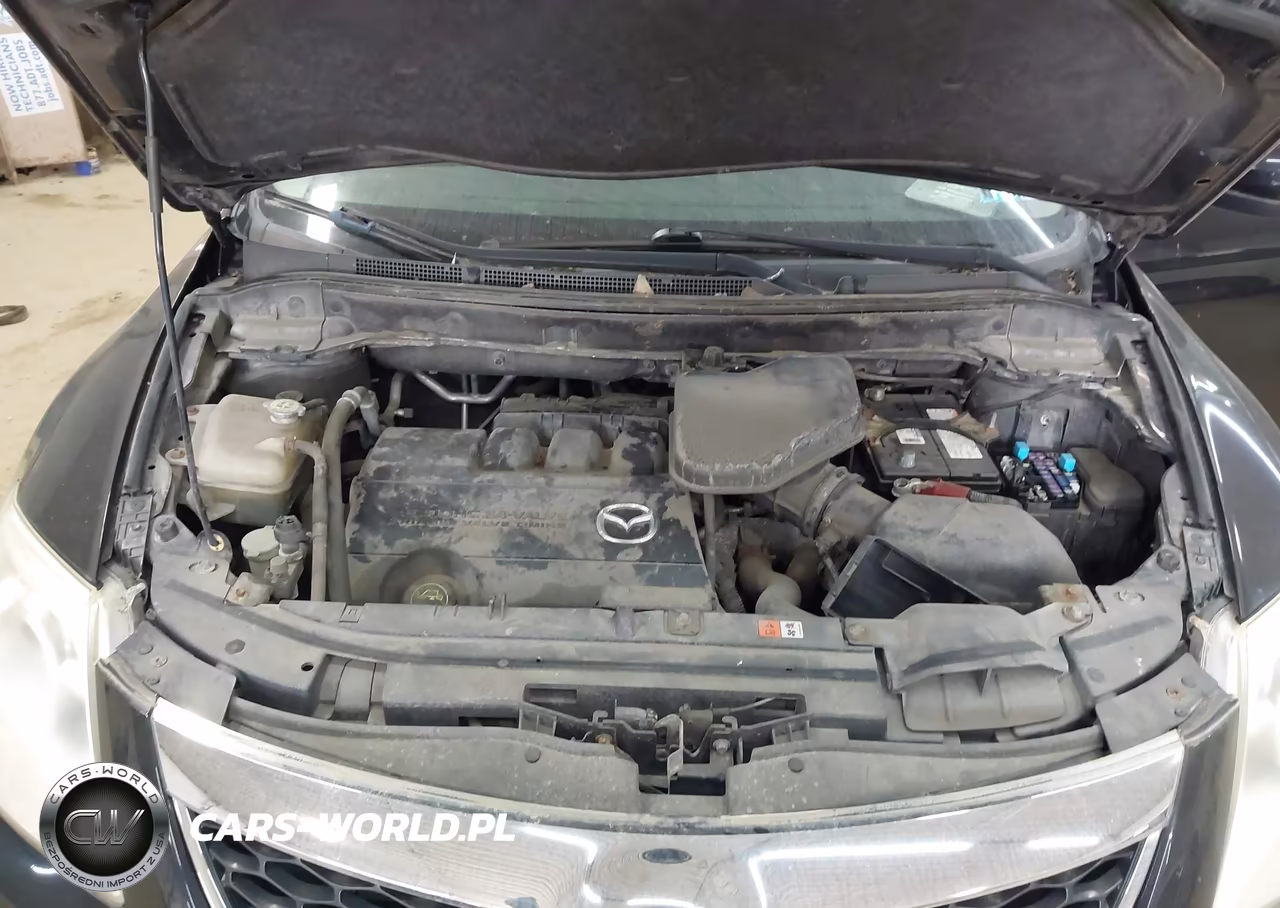 2010 Mazda Cx-9 Sport VIN:JM3TB3MV1A0200098 - 10