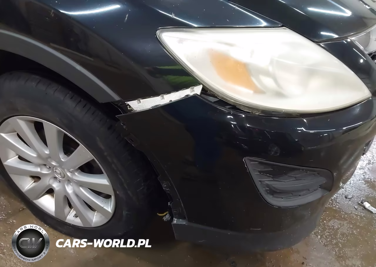 2010 Mazda Cx-9 Sport VIN:JM3TB3MV1A0200098 - 11