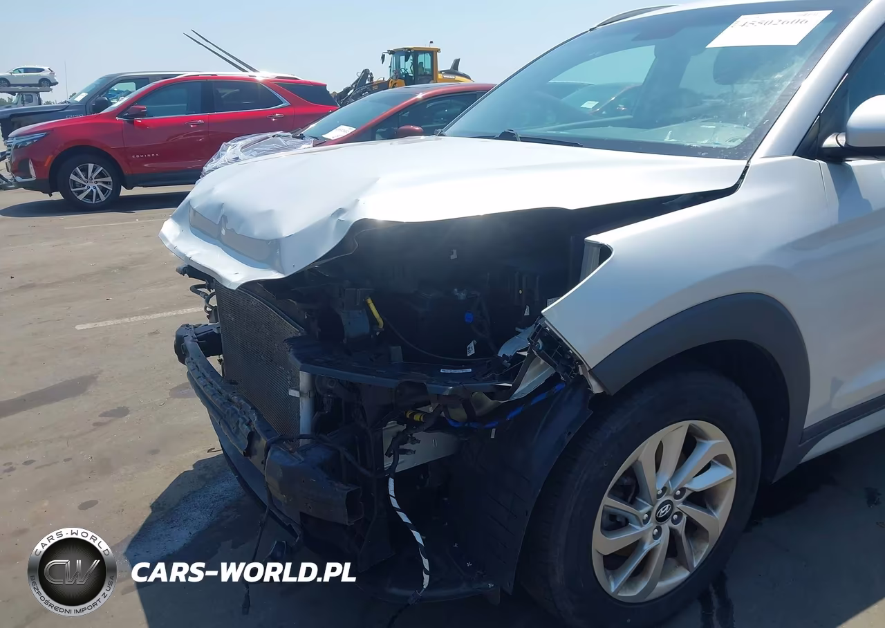2017 Hyundai Tucson Se VIN:KM8J3CA4XHU584065 - 22