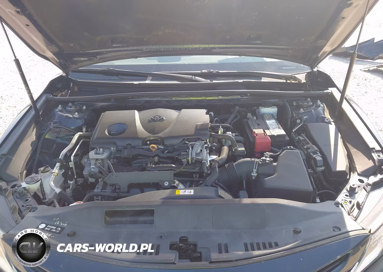 2019 Toyota Camry Se VIN:4T1B11HK5KU717650 - 10