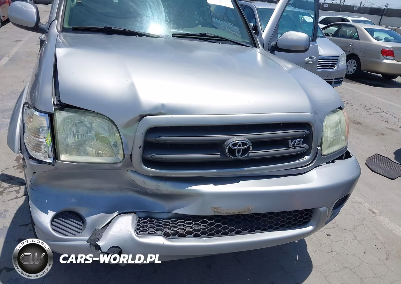 2002 Toyota Sequoia Sr5 V8 VIN:5TDZT34AX2S132301 - 6