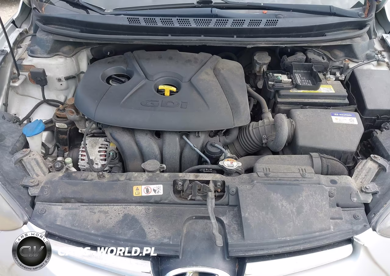 2015 Hyundai Elantra Sport VIN:KMHDH4AH2FU230481 - 10