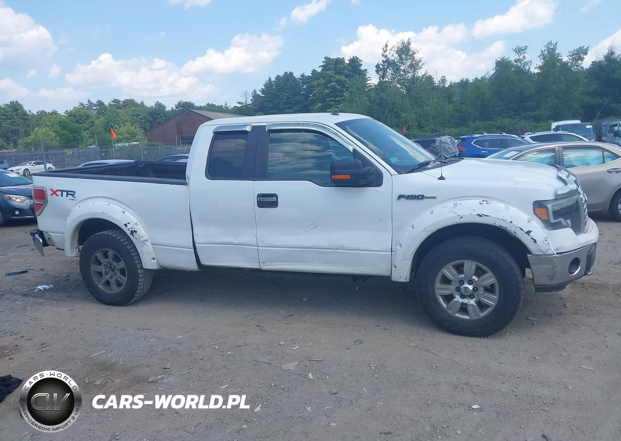 2010 Ford F-150 Fx4-Lariat-Xl-Xlt VIN:1FTFX1EV8AFA05400 - 13