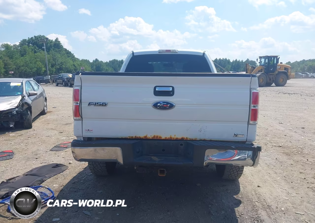 2010 Ford F-150 Fx4-Lariat-Xl-Xlt VIN:1FTFX1EV8AFA05400 - 16