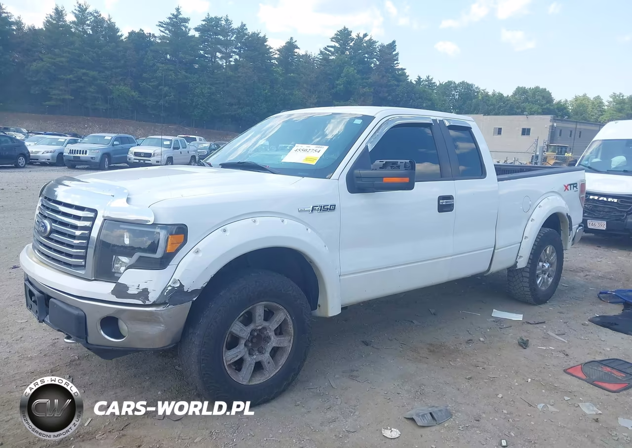 2010 Ford F-150 Fx4-Lariat-Xl-Xlt VIN:1FTFX1EV8AFA05400 - 2