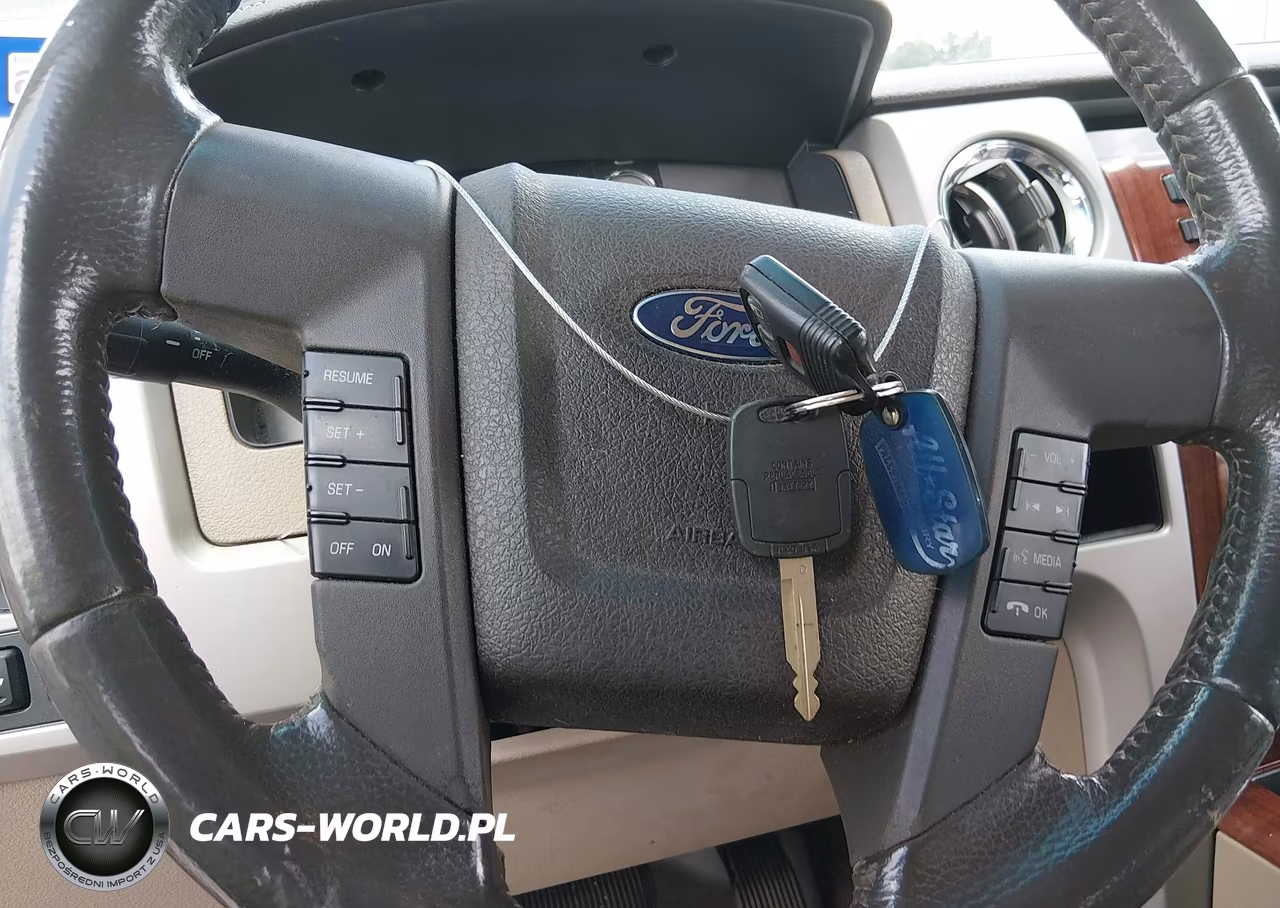 2010 Ford F-150 Fx4-Harley-Davidson-King Ranch-Lariat-Platinum-Xl-Xlt VIN:1FTFW1EV3AKB32713 - 11