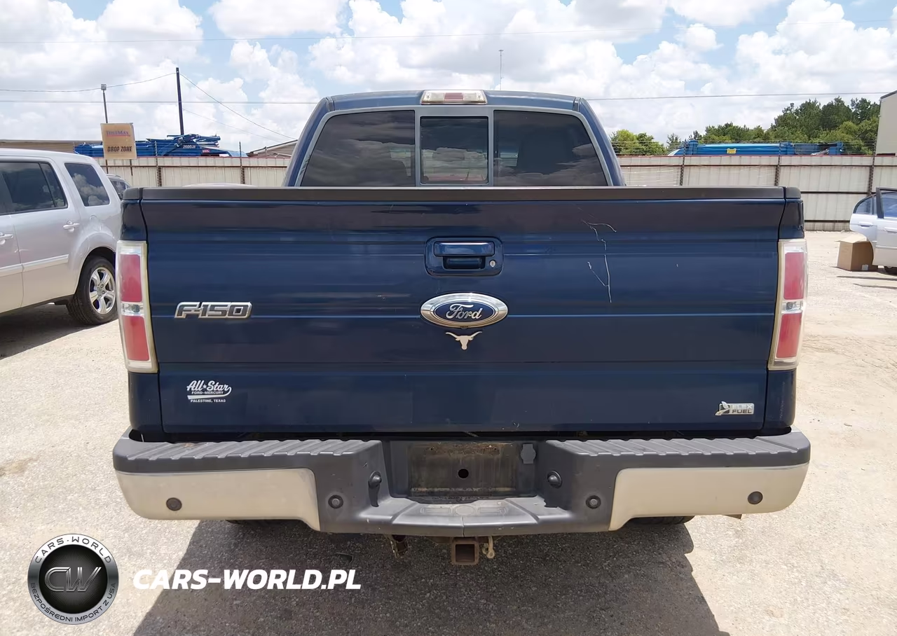 2010 Ford F-150 Fx4-Harley-Davidson-King Ranch-Lariat-Platinum-Xl-Xlt VIN:1FTFW1EV3AKB32713 - 16