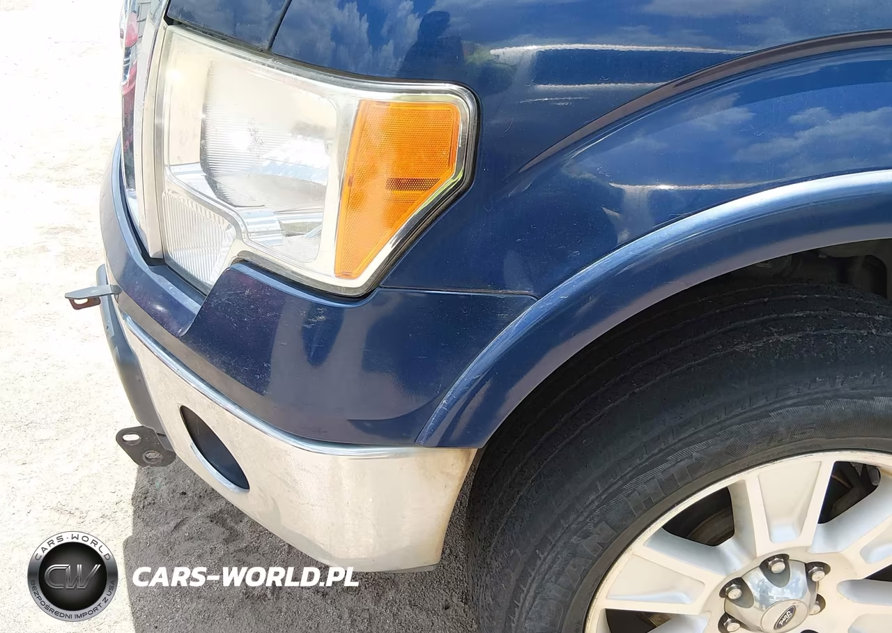 2010 Ford F-150 Fx4-Harley-Davidson-King Ranch-Lariat-Platinum-Xl-Xlt VIN:1FTFW1EV3AKB32713 - 6