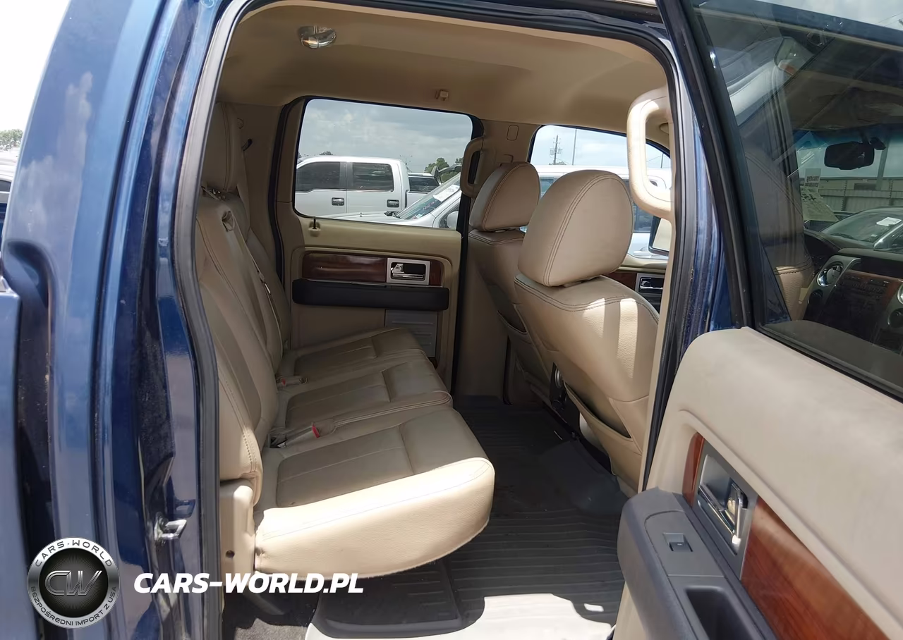 2010 Ford F-150 Fx4-Harley-Davidson-King Ranch-Lariat-Platinum-Xl-Xlt VIN:1FTFW1EV3AKB32713 - 8