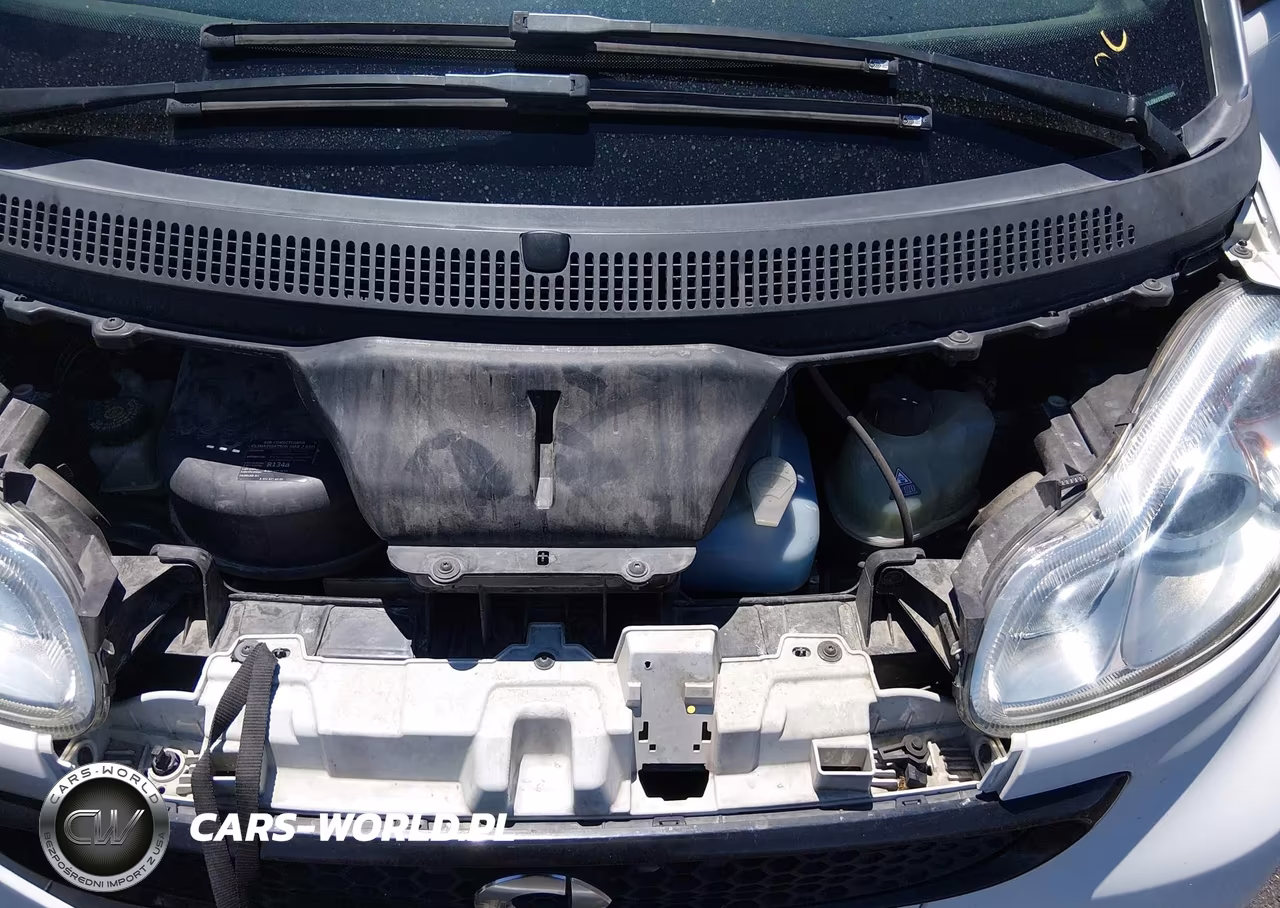 2013 Smart Fortwo Pure VIN:WMEEJ3BAXDK697375 - 10
