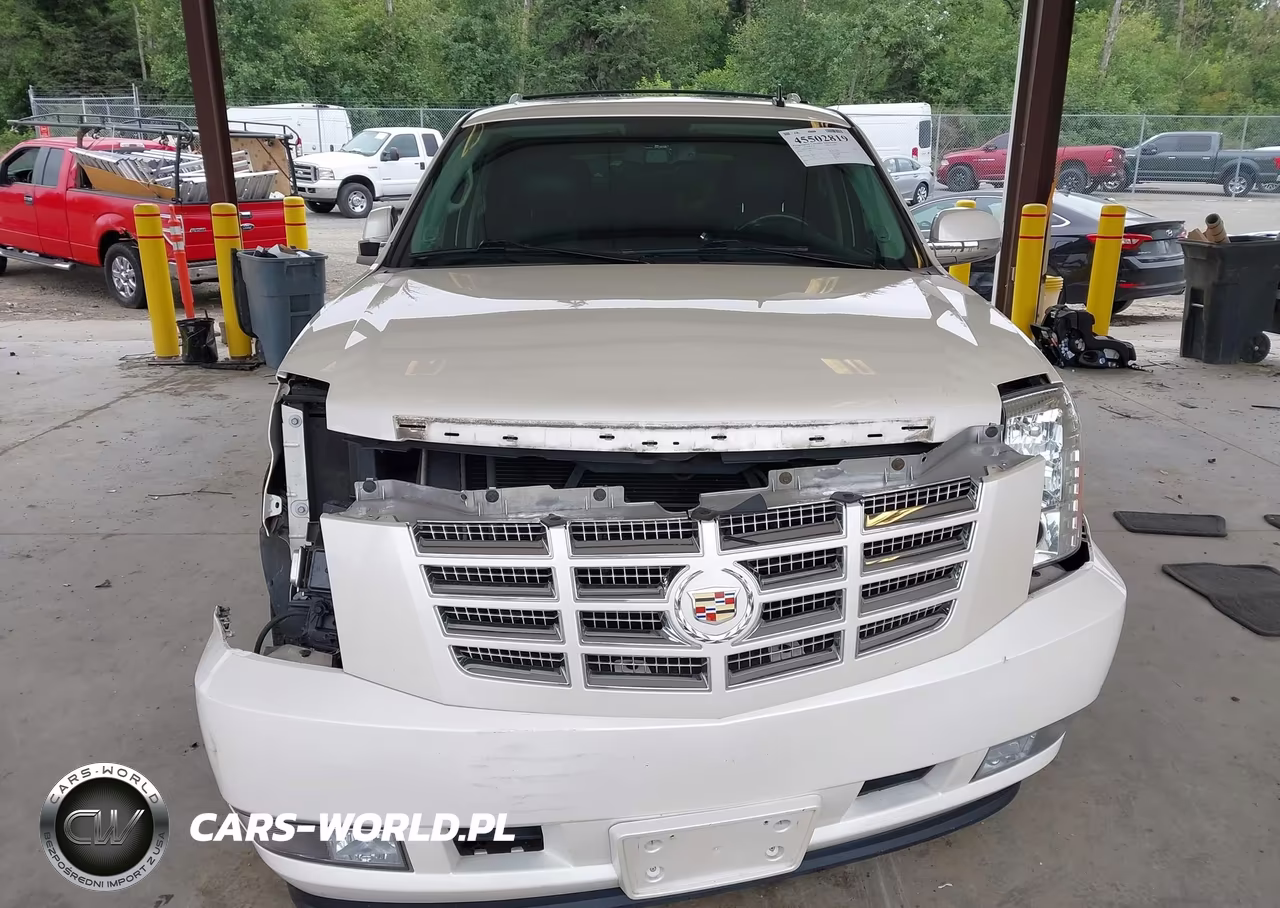 2013 Cadillac Escalade Luxury VIN:1GYS4BEF6DR281187 - 13