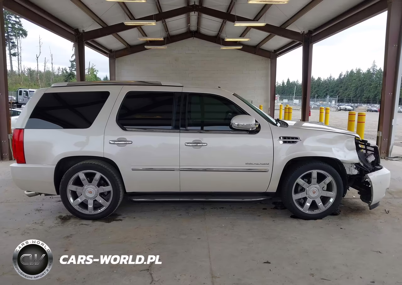 2013 Cadillac Escalade Luxury VIN:1GYS4BEF6DR281187 - 14