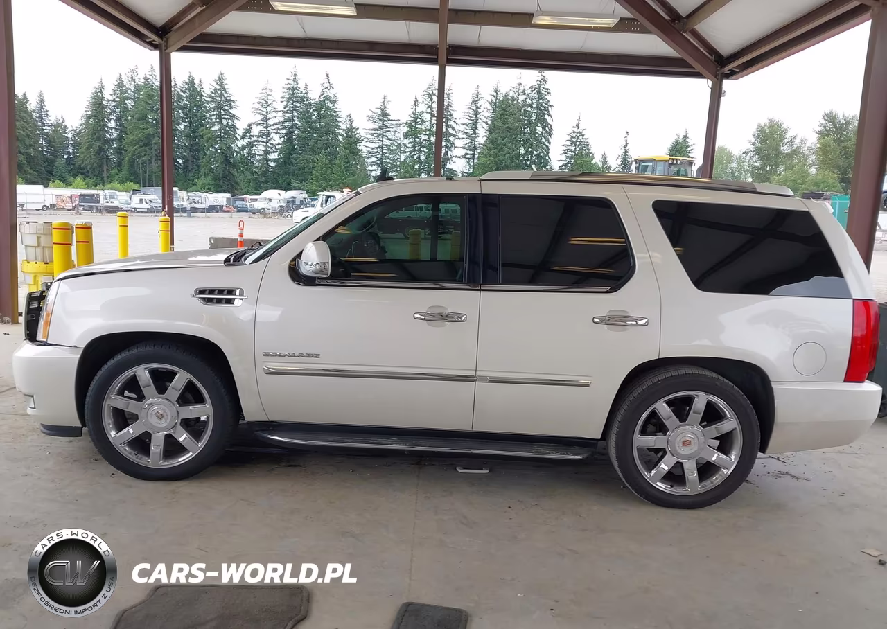 2013 Cadillac Escalade Luxury VIN:1GYS4BEF6DR281187 - 15