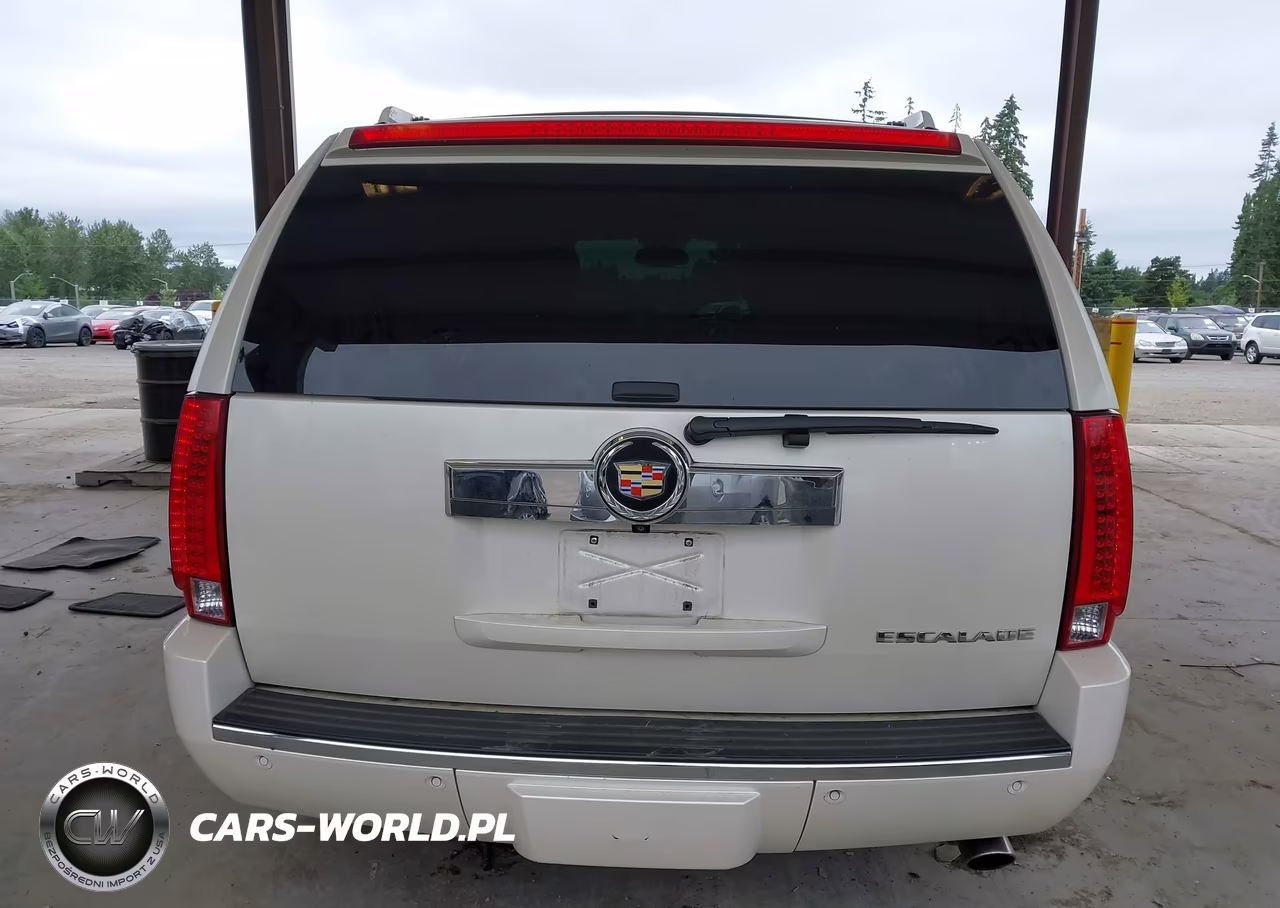 2013 Cadillac Escalade Luxury VIN:1GYS4BEF6DR281187 - 17