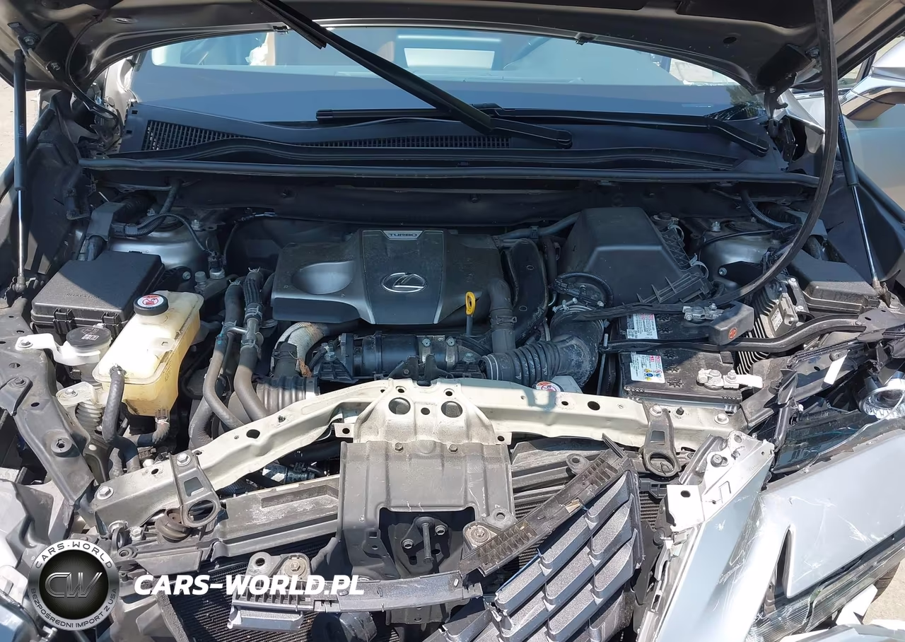 2020 Lexus Nx 300 VIN:JTJDARDZ2L5002834 - 10