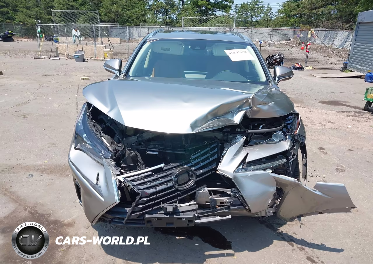 2020 Lexus Nx 300 VIN:JTJDARDZ2L5002834 - 12