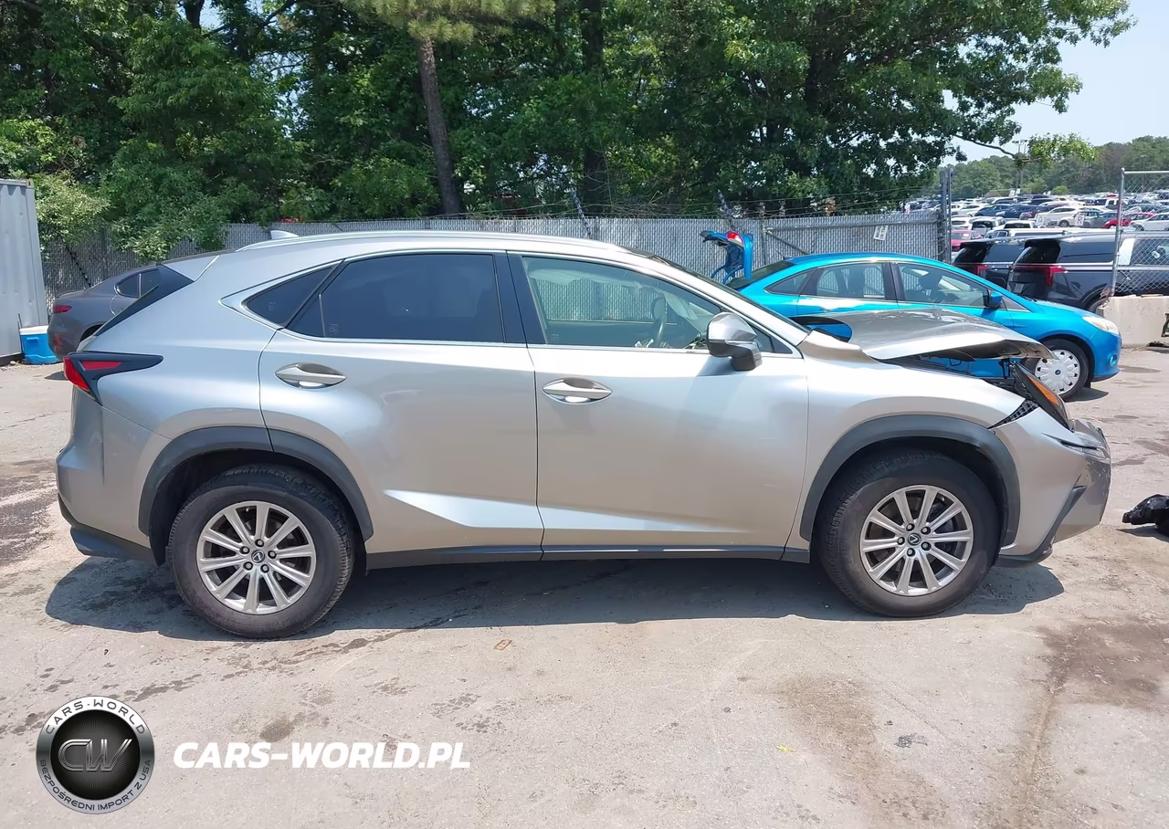 2020 Lexus Nx 300 VIN:JTJDARDZ2L5002834 - 13