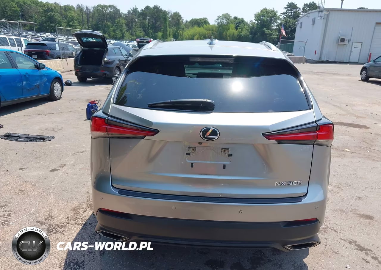 2020 Lexus Nx 300 VIN:JTJDARDZ2L5002834 - 16