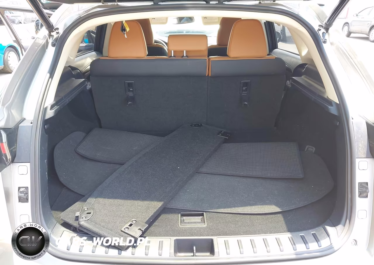 2020 Lexus Nx 300 VIN:JTJDARDZ2L5002834 - 17