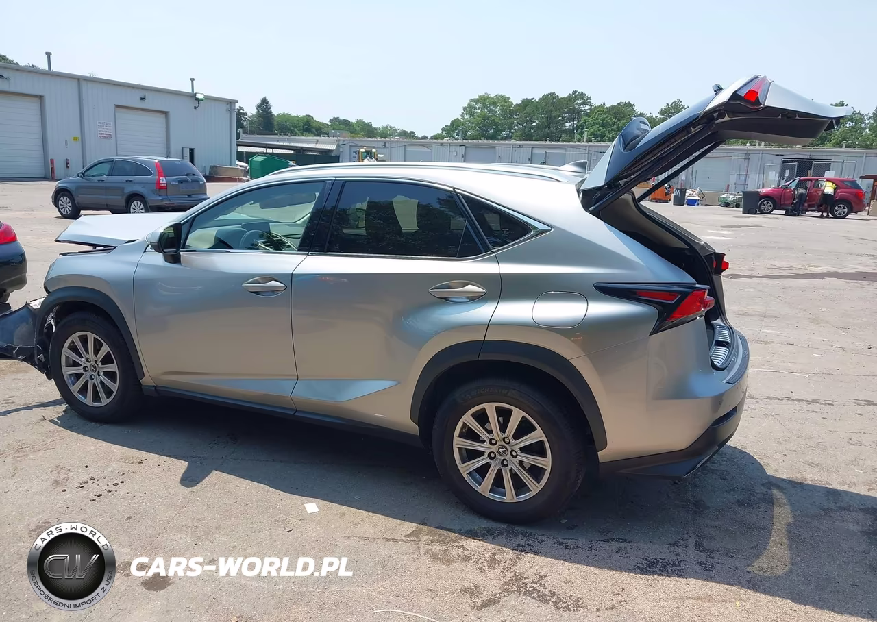 2020 Lexus Nx 300 VIN:JTJDARDZ2L5002834 - 3