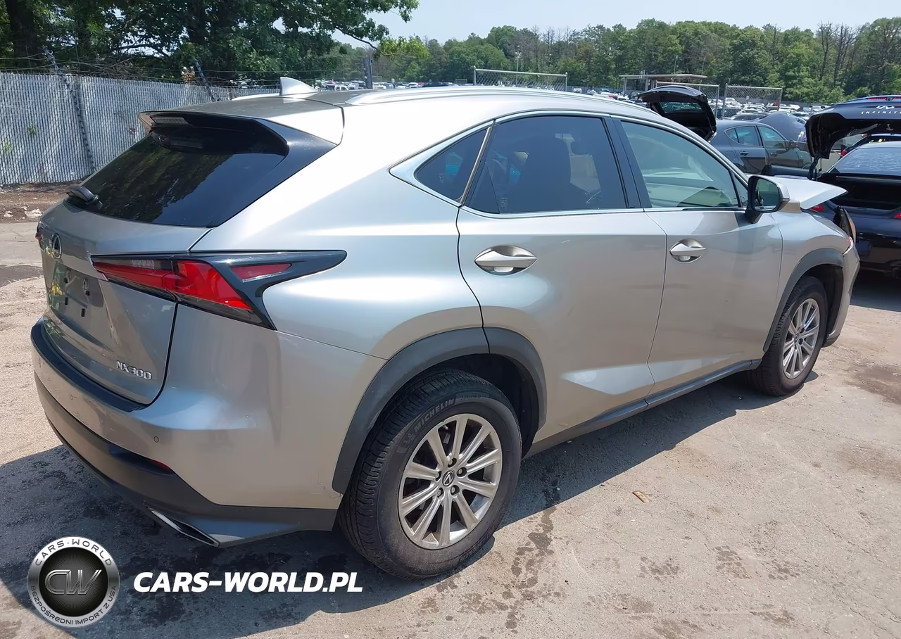 2020 Lexus Nx 300 VIN:JTJDARDZ2L5002834 - 4