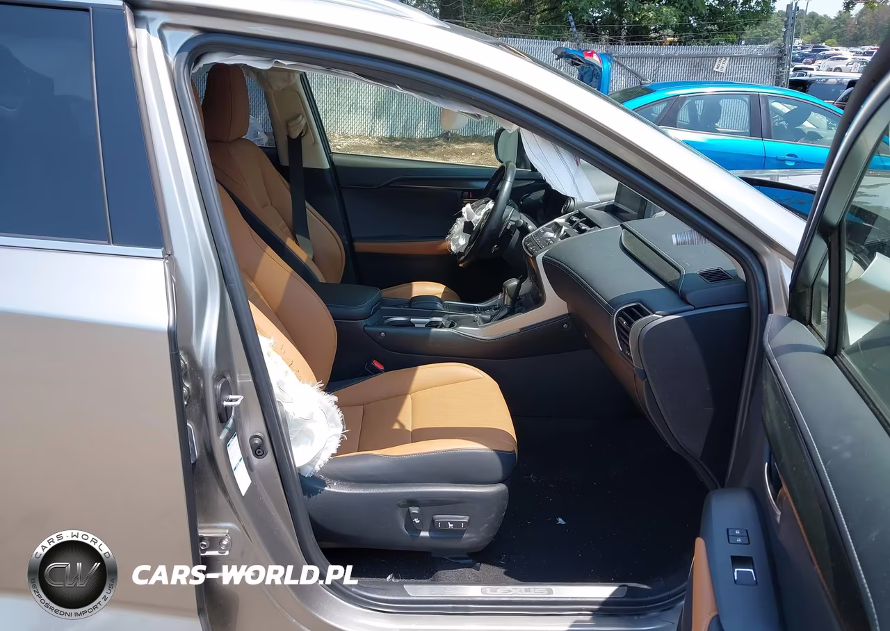 2020 Lexus Nx 300 VIN:JTJDARDZ2L5002834 - 5