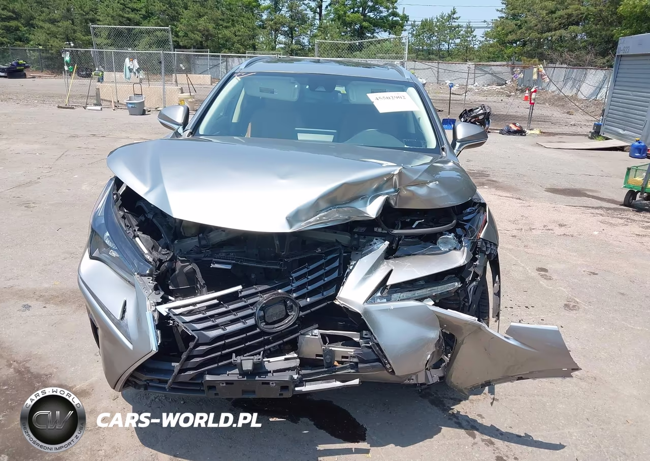 2020 Lexus Nx 300 VIN:JTJDARDZ2L5002834 - 6