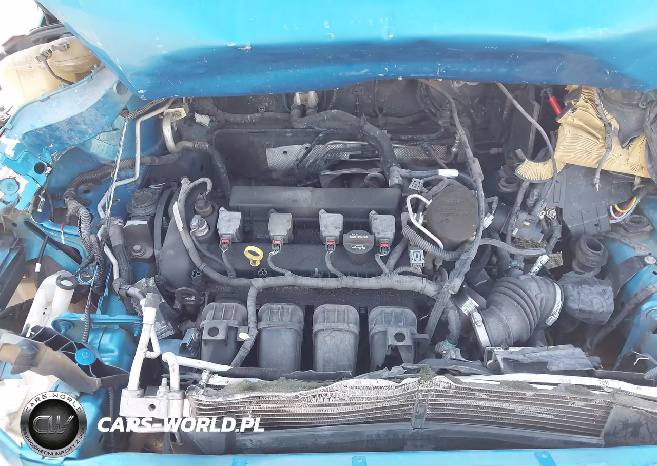2013 Ford Focus Se VIN:1FADP3F27DL359699 - 10
