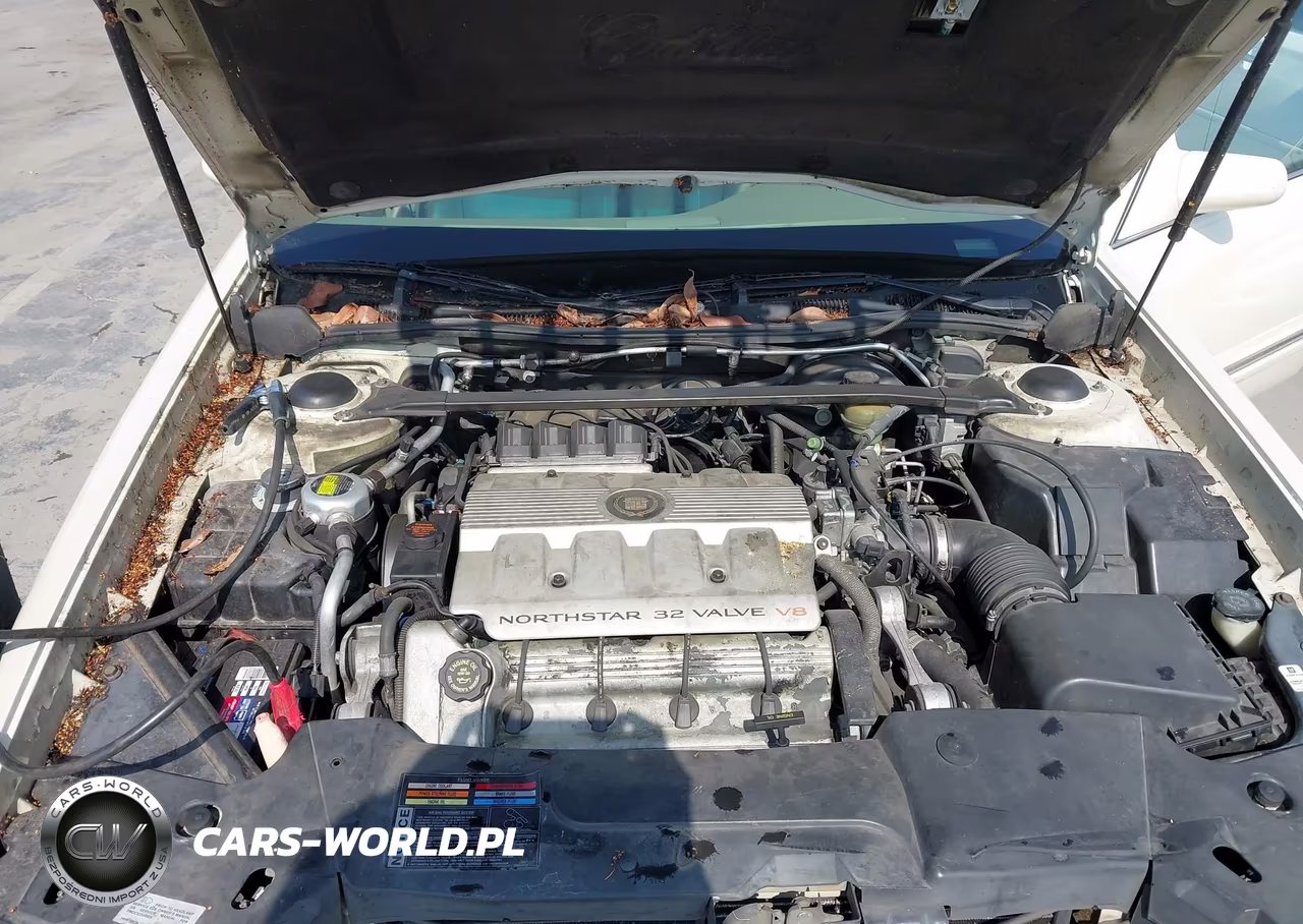 1998 Cadillac Deville VIN:1G6KD54Y6WU718733 - 10