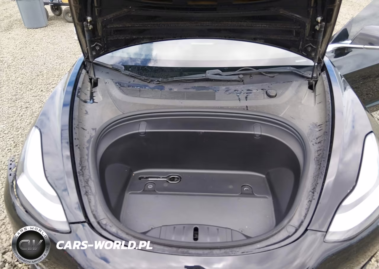 2019 TESLA MODEL 3  VIN:5YJ3E1EAXKF422500 - 10